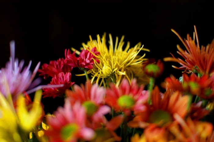 Bouquet de fleurs