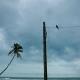 Palolem, India