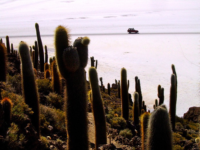 Isla Del Pescado, Bolivie